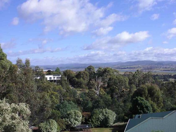 Protea Hill View