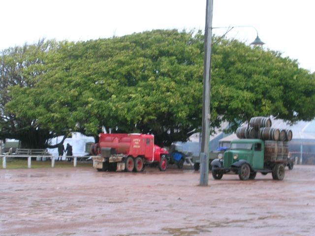 Trucks in the rain