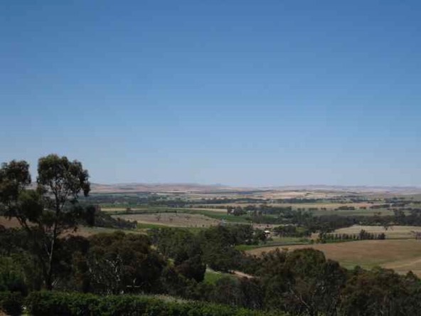 View from Paulett 3