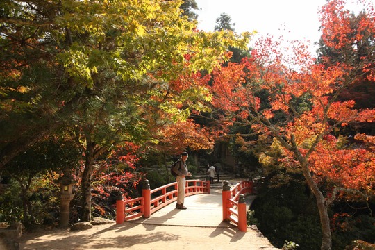 Momijidani Park.jpg