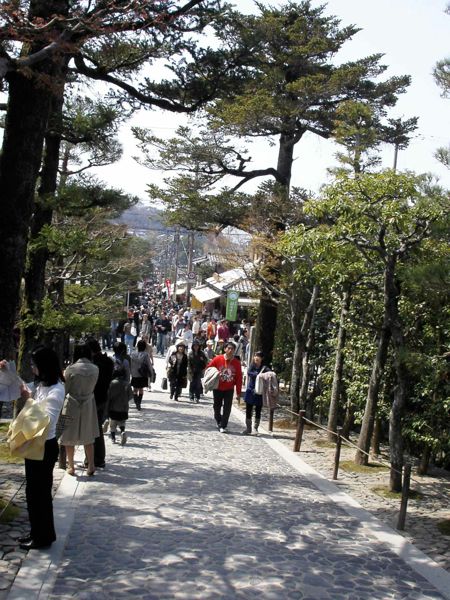 Kyoto Downhill