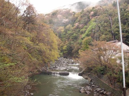 Hakone Canyon